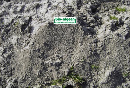 Check: Soil quality without and with S92